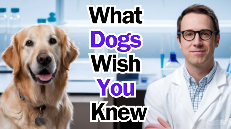 A golden retriever and a person in a lab coat, symbolizing the scientific approach to understanding dog communication